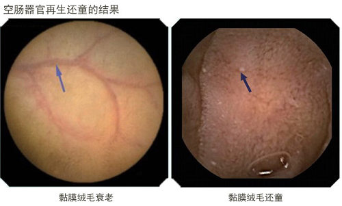 澳港宝典免费资料大全