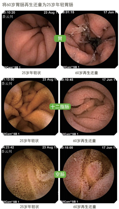 澳港宝典免费资料大全