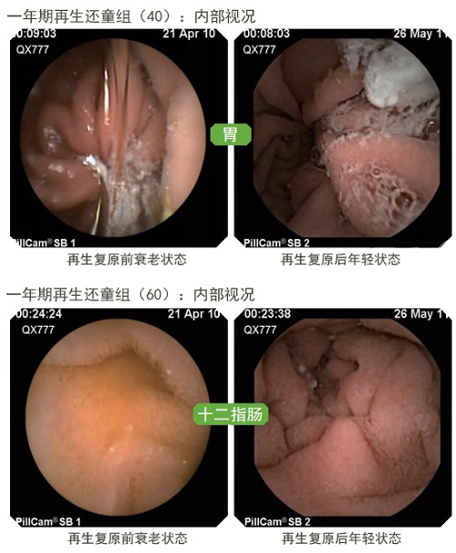 澳港宝典免费资料大全