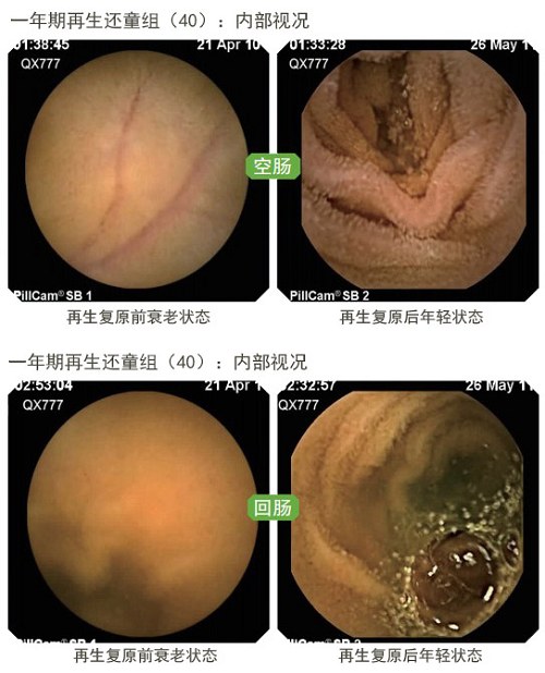 澳港宝典免费资料大全