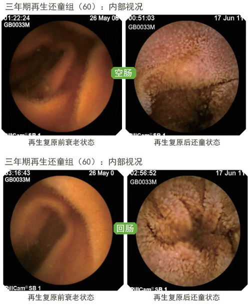 澳港宝典免费资料大全