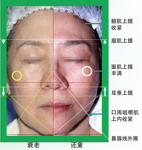 澳港宝典免费资料大全